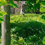під горою Lodge Sheshory