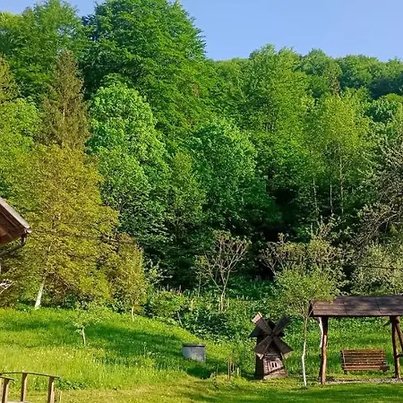 Orman Evi під горою Sheshory
