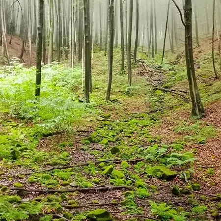 Lodge під горою