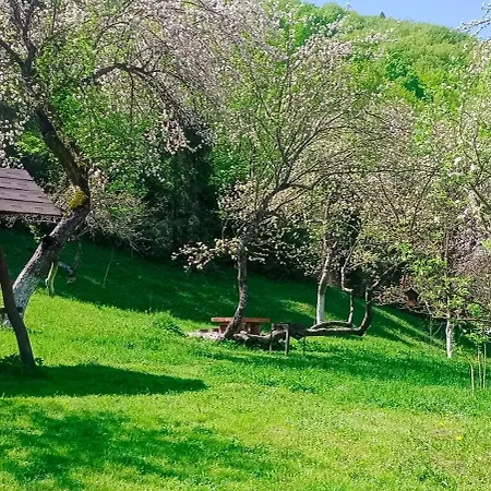 під горою Lodge