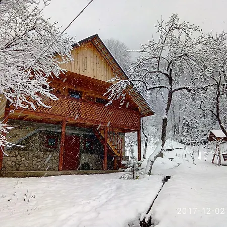 під горою Sheshory