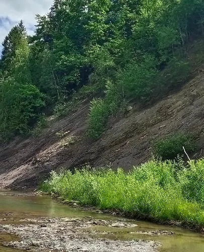 під горою Lodge Sheshory