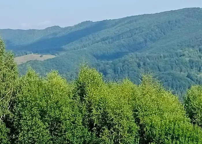 під горою * Sheshory