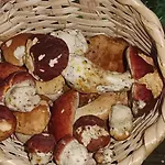 під горою Sesori