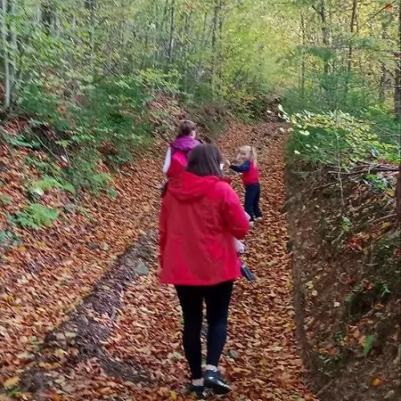 Lodge під горою Sheshory