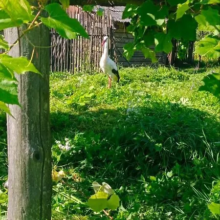 під горою Lodge Sheshory