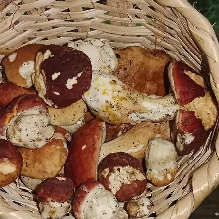 під горою シェショリー