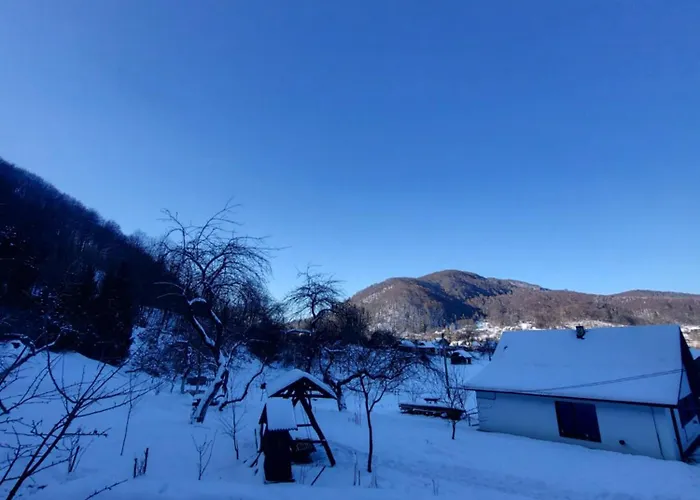 під горою ロッジ *